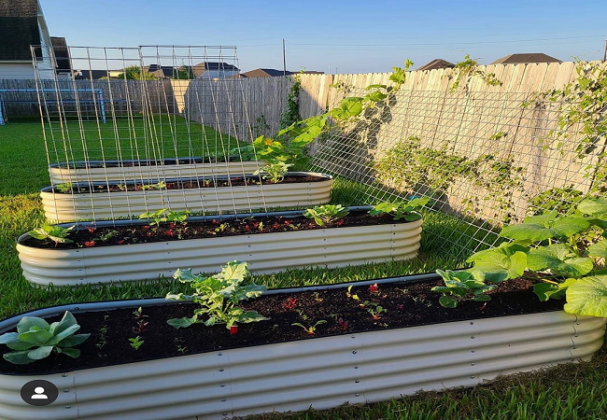 Benefits Of Raised Garden Beds in Today's World - Top Post Ng