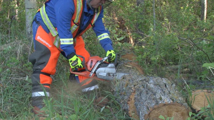 online chainsaw safety course